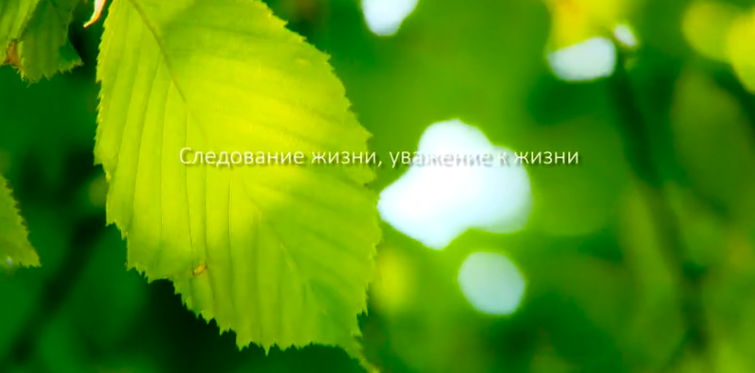 不朽情缘集团形象片（русский）