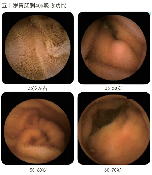 不朽情缘(中国)官方网站入口