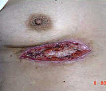 不朽情缘(中国)官方网站入口