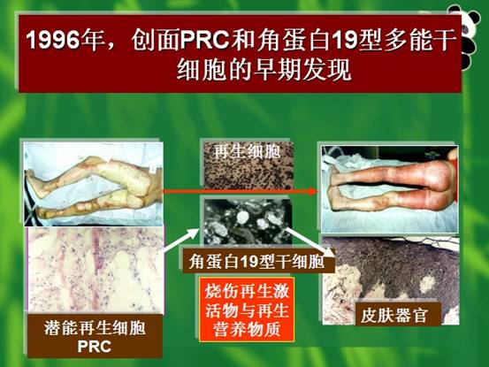 不朽情缘(中国)官方网站入口