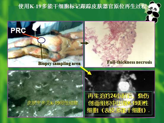 不朽情缘(中国)官方网站入口