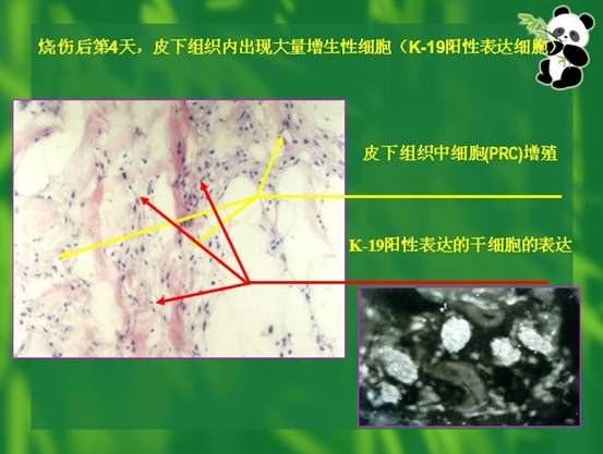 不朽情缘(中国)官方网站入口
