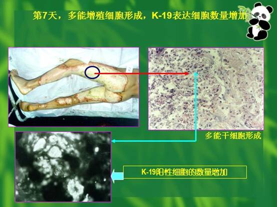 不朽情缘(中国)官方网站入口