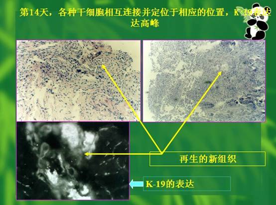 不朽情缘(中国)官方网站入口