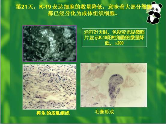 不朽情缘(中国)官方网站入口