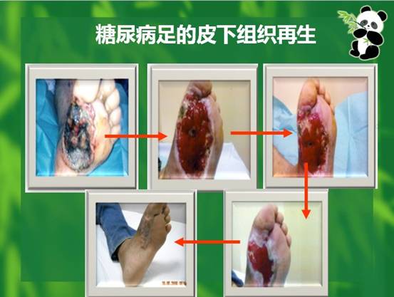 不朽情缘(中国)官方网站入口