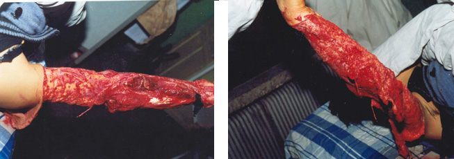 不朽情缘(中国)官方网站入口