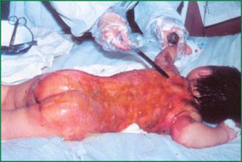 不朽情缘(中国)官方网站入口