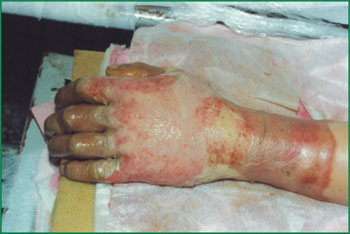 不朽情缘(中国)官方网站入口