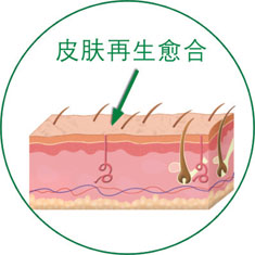 不朽情缘(中国)官方网站入口