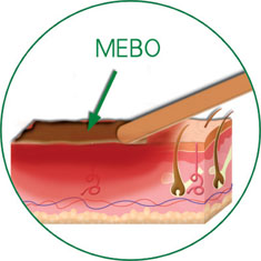 不朽情缘(中国)官方网站入口
