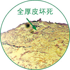 不朽情缘(中国)官方网站入口