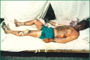 不朽情缘(中国)官方网站入口