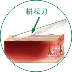 不朽情缘(中国)官方网站入口