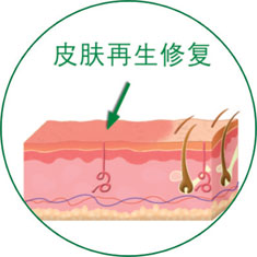 不朽情缘(中国)官方网站入口
