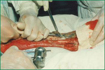 不朽情缘(中国)官方网站入口