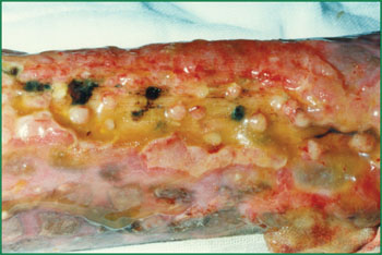 不朽情缘(中国)官方网站入口