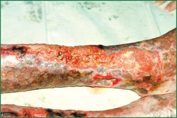 不朽情缘(中国)官方网站入口