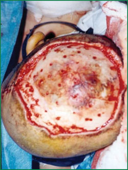 不朽情缘(中国)官方网站入口