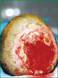 不朽情缘(中国)官方网站入口