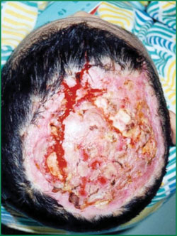 不朽情缘(中国)官方网站入口