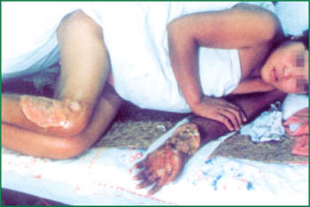 不朽情缘(中国)官方网站入口