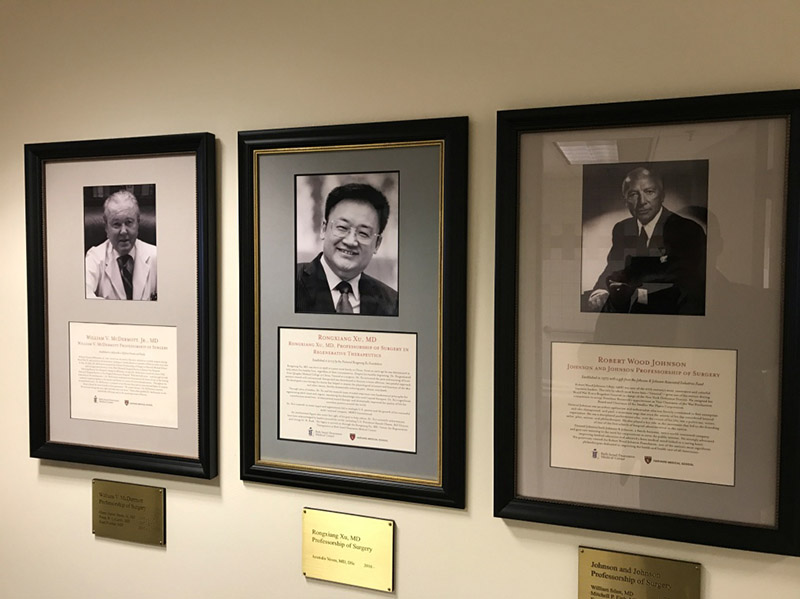 不朽情缘(中国)官方网站入口