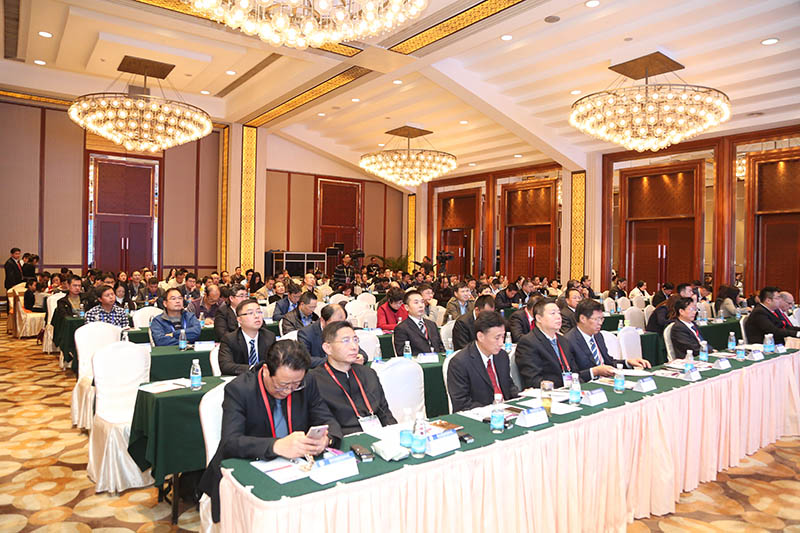 不朽情缘(中国)官方网站入口