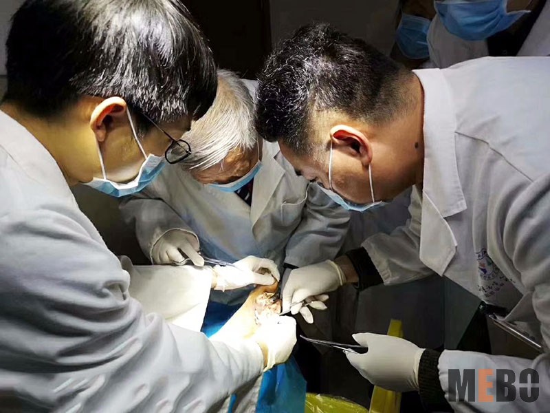 不朽情缘(中国)官方网站入口