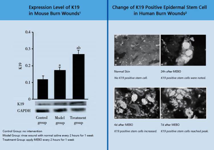 不朽情缘(中国)官方网站入口