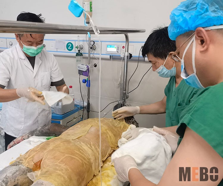 不朽情缘(中国)官方网站入口