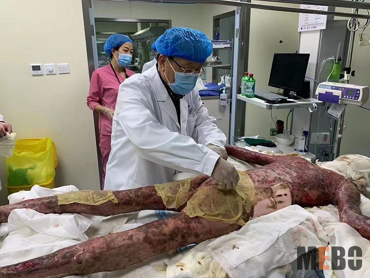 不朽情缘(中国)官方网站入口