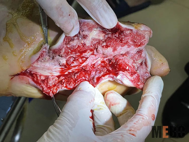 不朽情缘(中国)官方网站入口