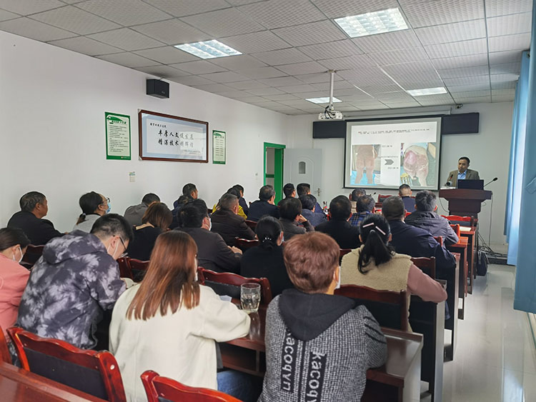 不朽情缘(中国)官方网站入口