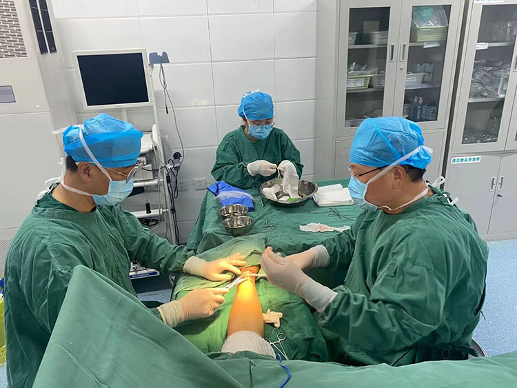 不朽情缘(中国)官方网站入口