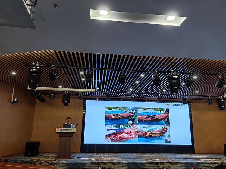 不朽情缘(中国)官方网站入口