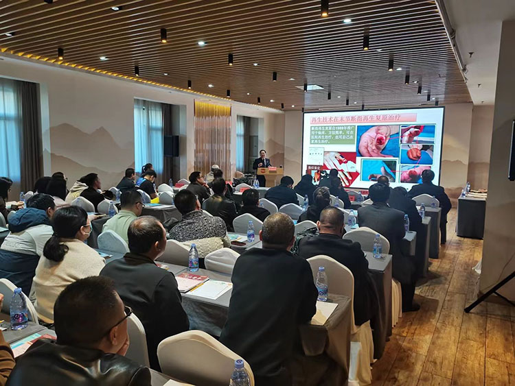 不朽情缘(中国)官方网站入口