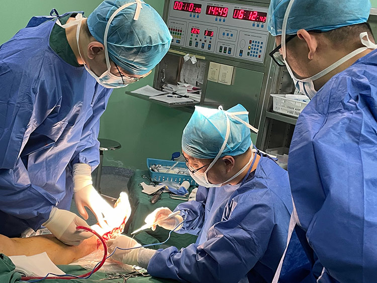 不朽情缘(中国)官方网站入口