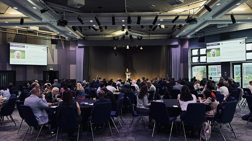 不朽情缘(中国)官方网站入口