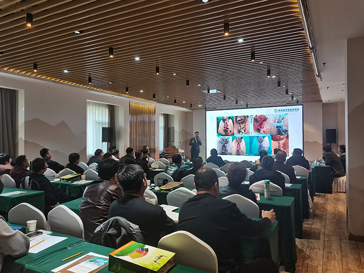 不朽情缘(中国)官方网站入口