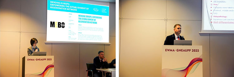 不朽情缘(中国)官方网站入口