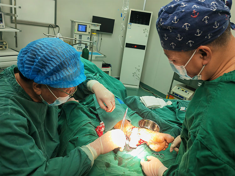 不朽情缘(中国)官方网站入口