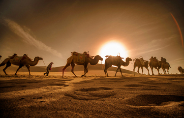 不朽情缘国际 “一带一起”建议培训平台