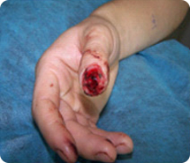 不朽情缘(中国)官方网站入口