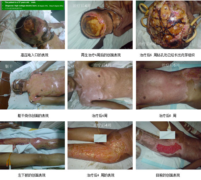 不朽情缘(中国)官方网站入口