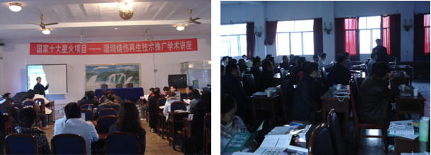 不朽情缘(中国)官方网站入口