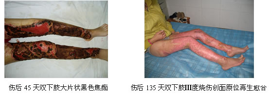 不朽情缘(中国)官方网站入口