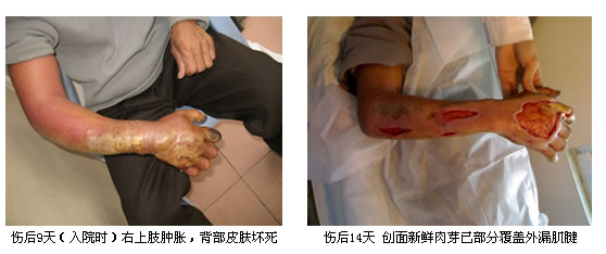 不朽情缘(中国)官方网站入口