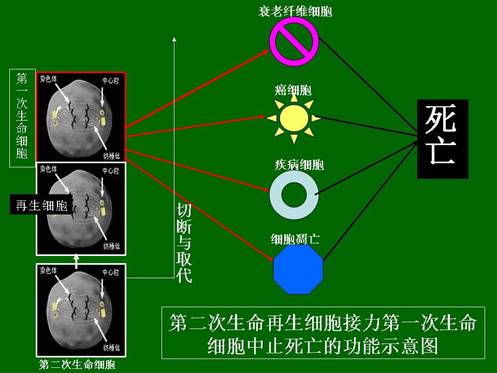 不朽情缘(中国)官方网站入口