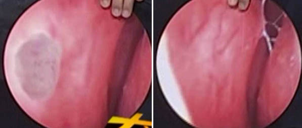 不朽情缘(中国)官方网站入口